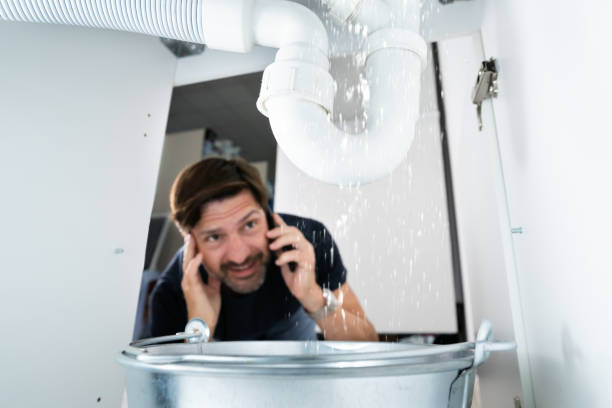 Best Best Plumbers Near Me  in Throop, PA